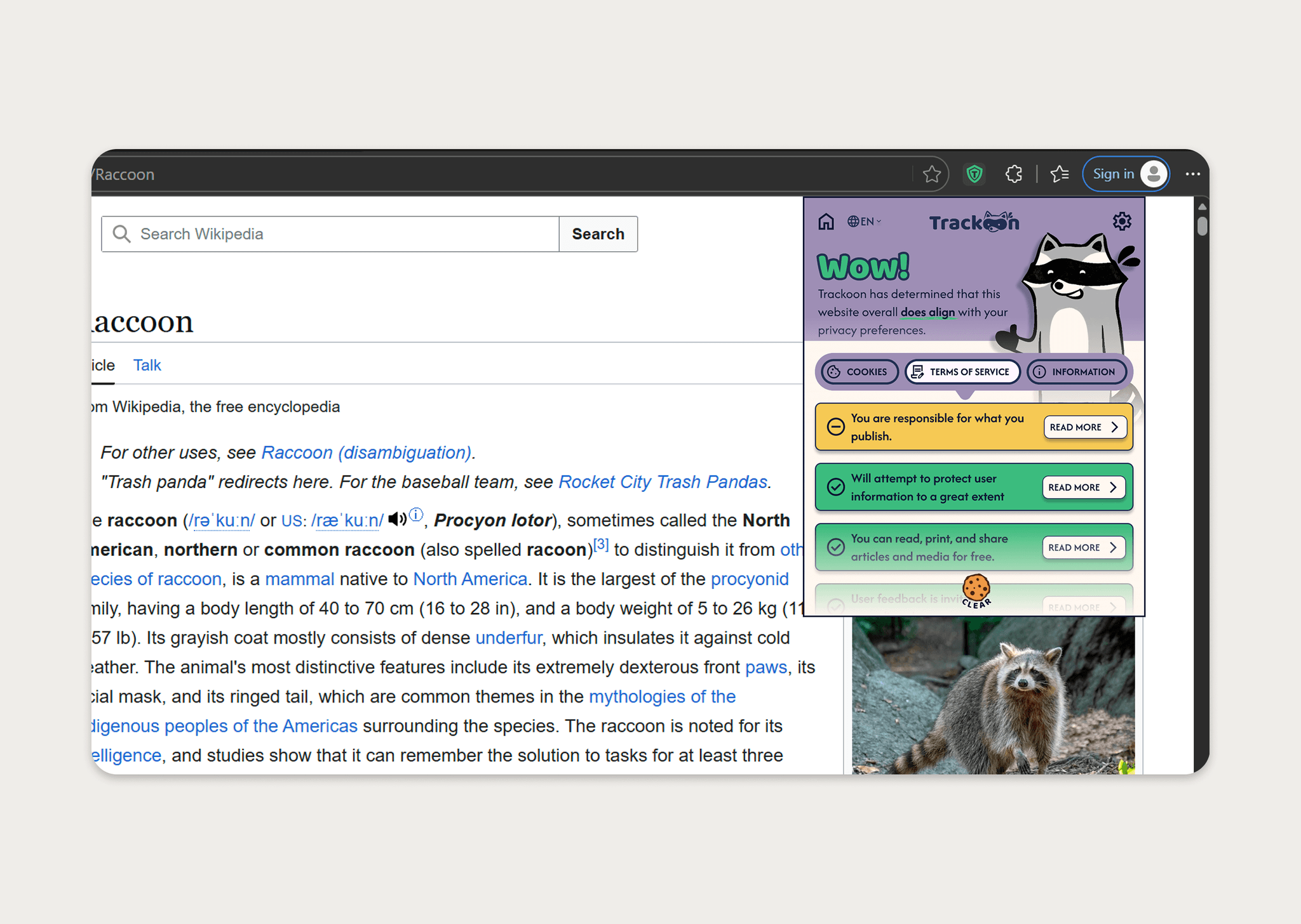 Trackoon research and design documentation